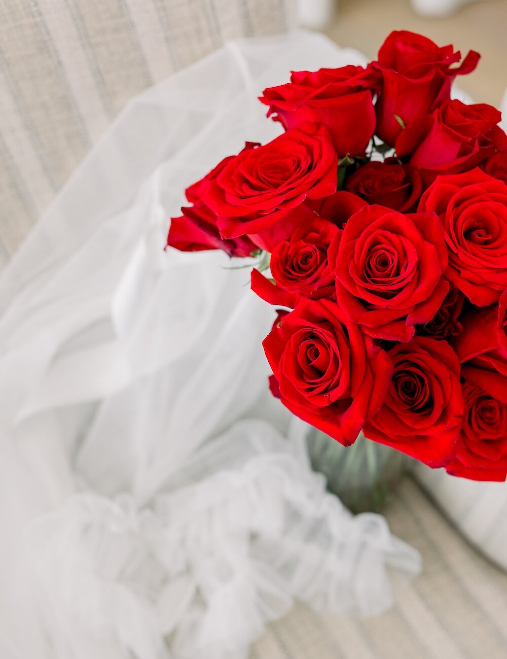 A vibrant bouquet of deep red roses stands in a clear vase, contrasted against soft white tulle fabric in the background.