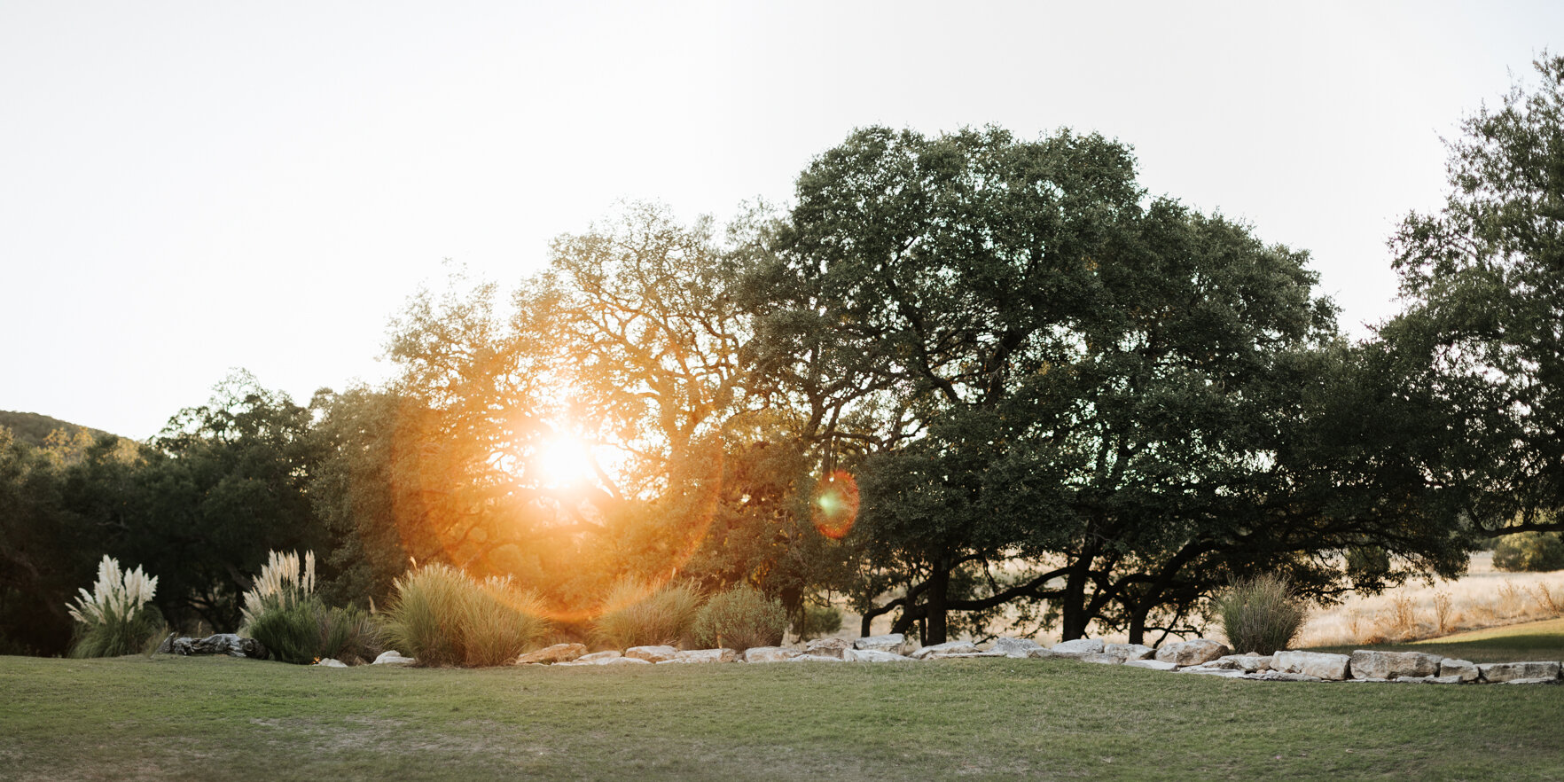 Golden hour sunset photograph with bright lens flare filtering through large, mature oak trees in a grassy park or venue lawn, featuring native pampas grass and a border of white rocks.