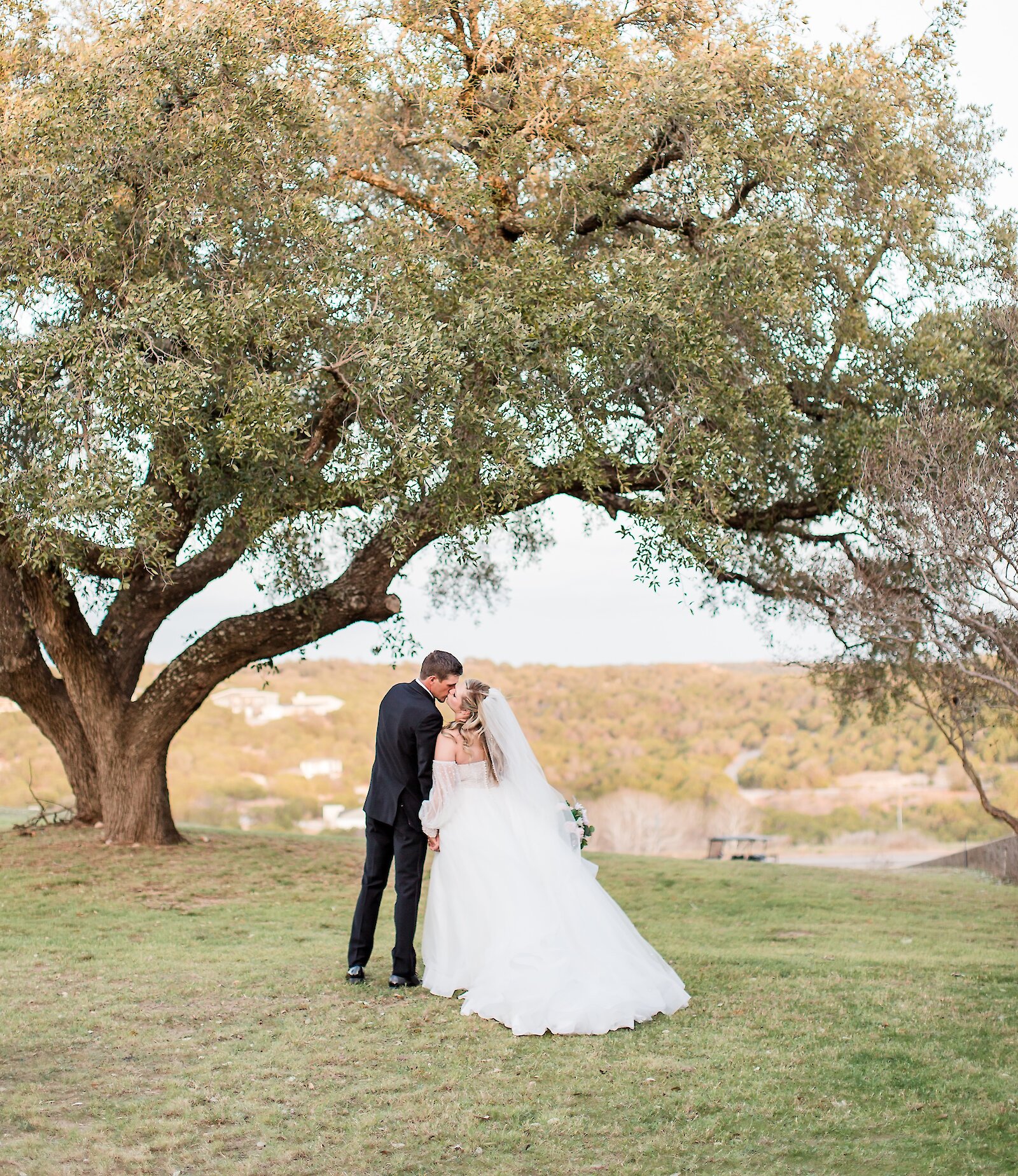 Romantic outdoor wedding portrait of the bride and groom kissing beneath a large, sprawling oak tree on a grassy hill overlooking a valley. The bride wears a full-skirted ballgown with a long veil.