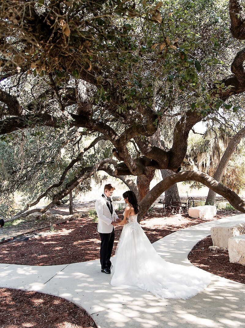 Bride and groom holding hands under a large oak tree during their outdoor first look at a Hill Country wedding venue