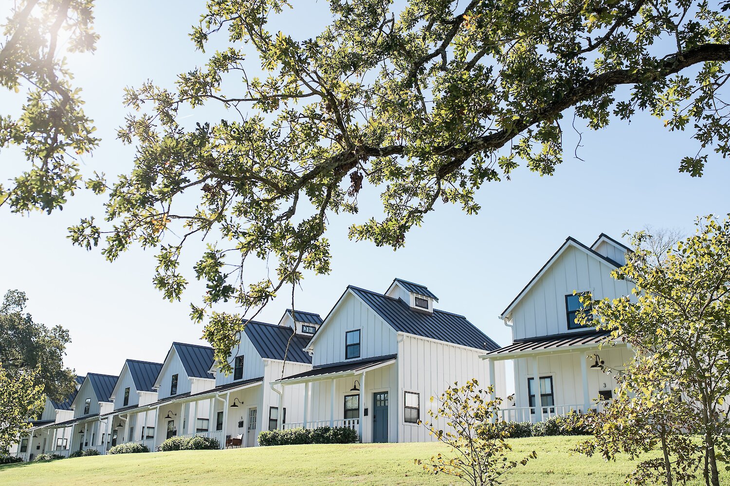Sunlit view of a row of white modern farmhouse cottages with dark roofs and porches, framed by tree branches overhead.