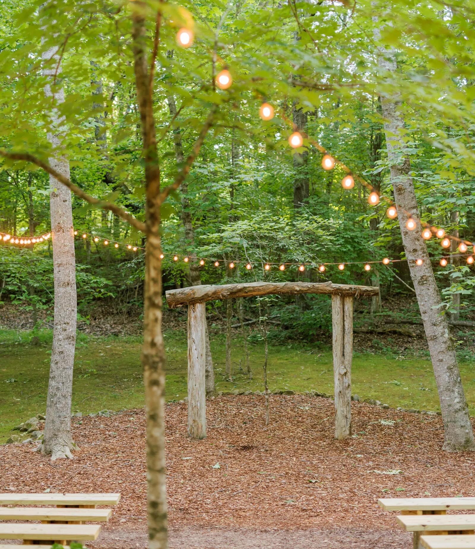 outdoor ceremony space with arch surrounded by tall trees in enchanted forest with string lights